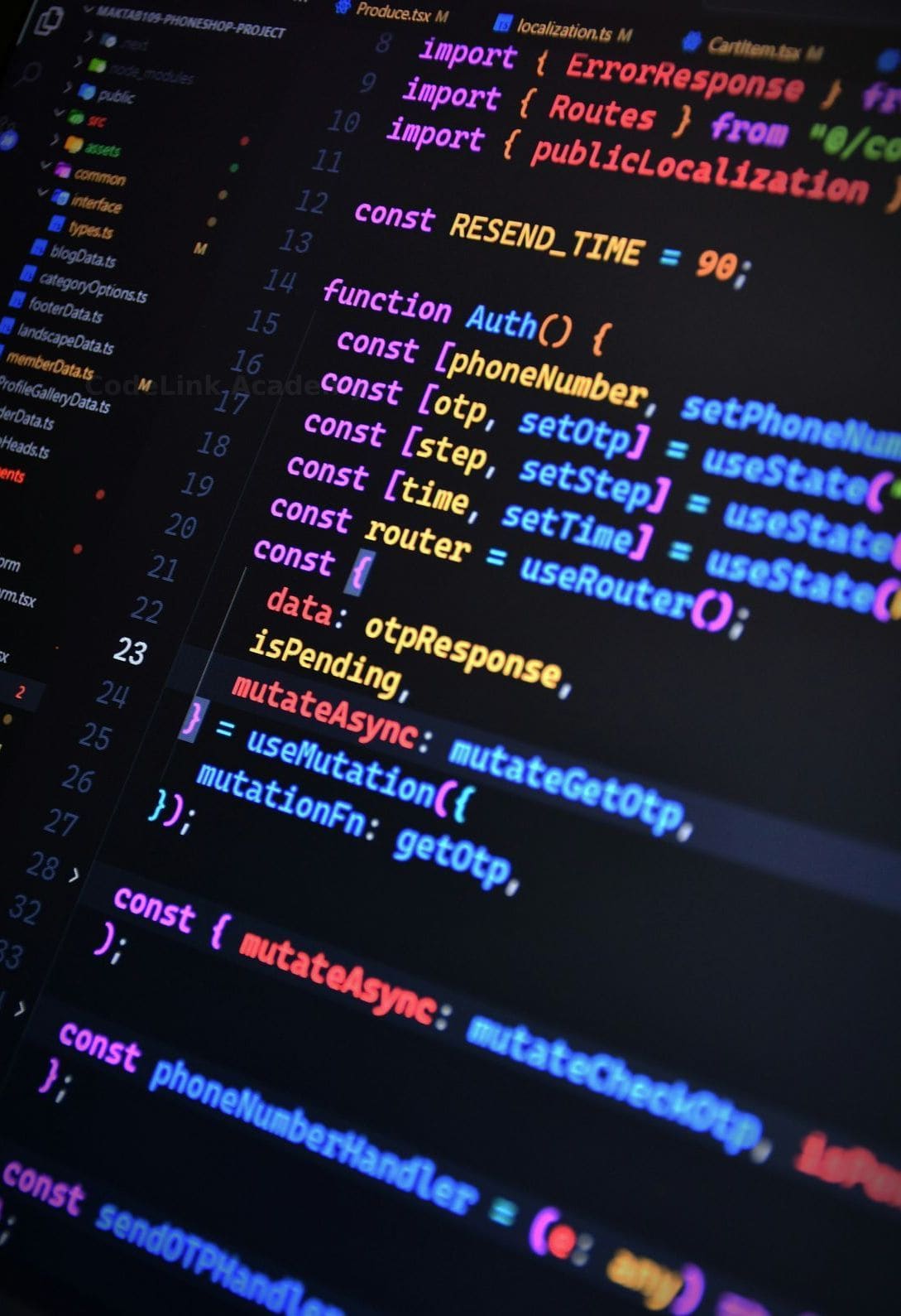 CodeLink Academy 15