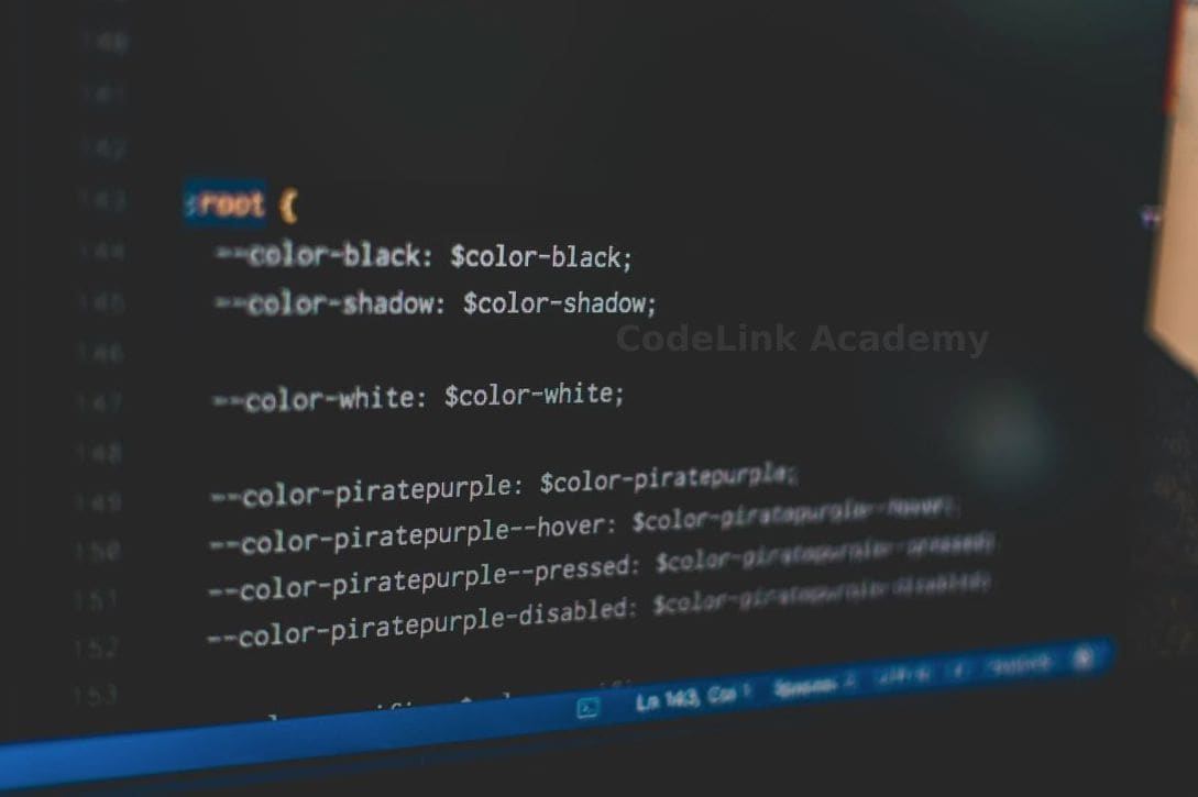 CodeLink Academy 2